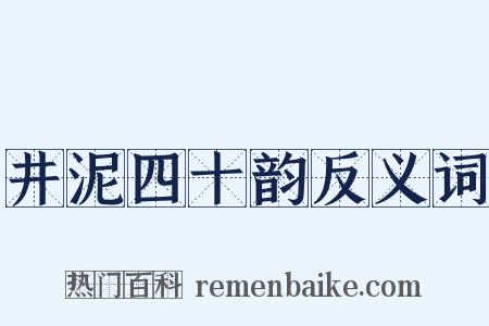 井泥四十韵反义词是什么意思的图片